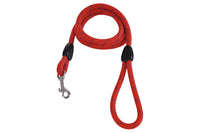 Cofan – Set de Accesorios para Perros | Pack de 7 Elementos Esenciales | Paseo, Entrenamiento y Alimentación